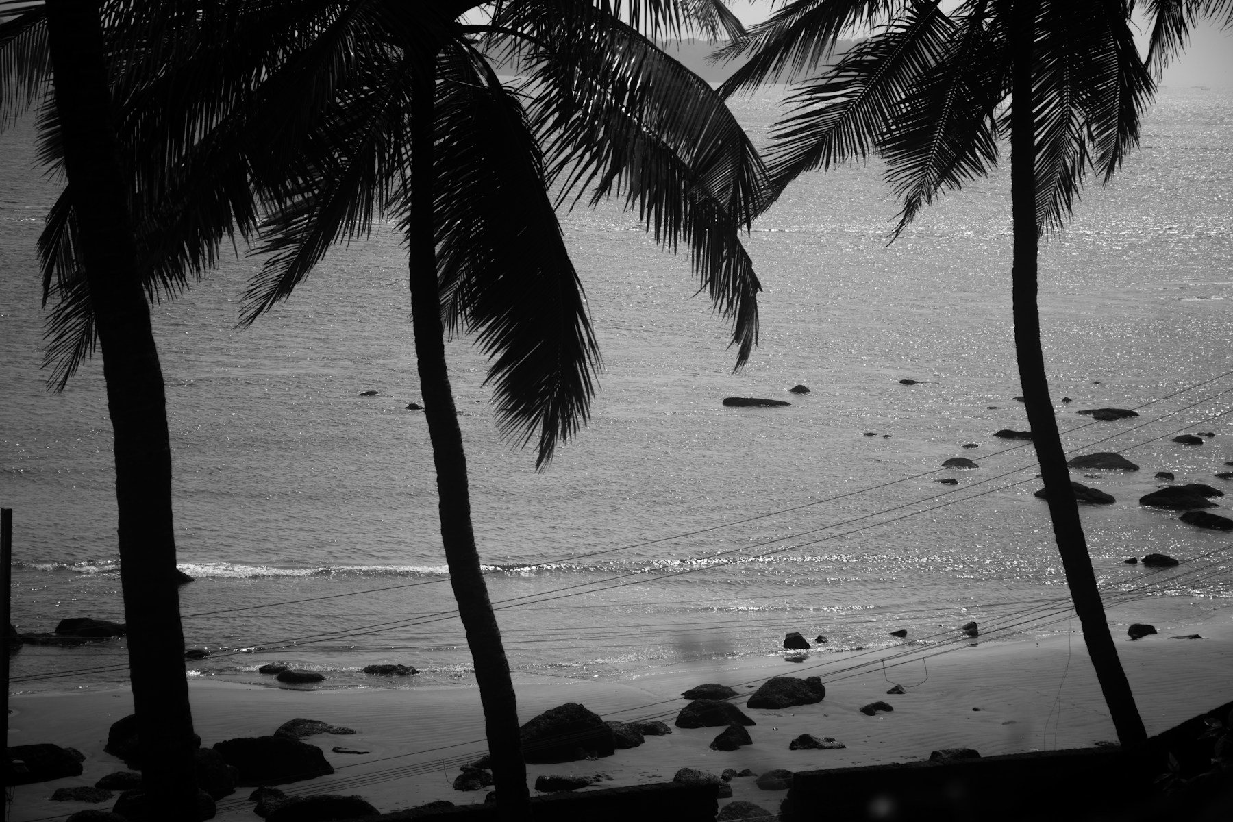 Reiseziel Goa: Palmen und Küste, kein Flughafenmotiv.